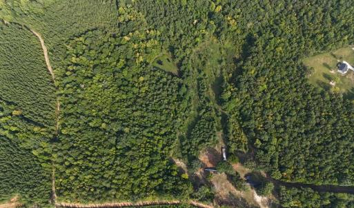 Photo #36 of 250 296 CC LANE, Drakes Branch, VA 23.3 acres