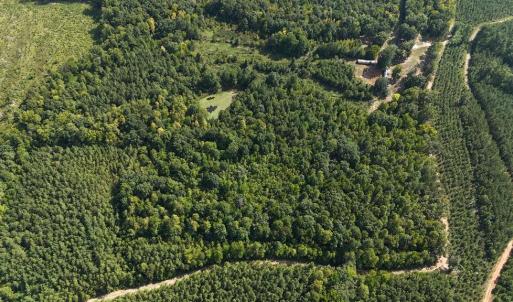 Photo #41 of 250 296 CC LANE, Drakes Branch, VA 23.3 acres
