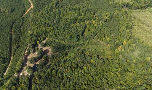 Photo #42 of 250 296 CC LANE, Drakes Branch, VA 23.3 acres