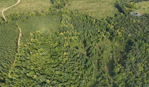 Photo #43 of 250 296 CC LANE, Drakes Branch, VA 23.3 acres