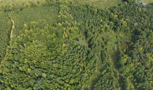 Photo #44 of 250 296 CC LANE, Drakes Branch, VA 23.3 acres