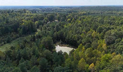Photo #45 of 250 296 CC LANE, Drakes Branch, VA 23.3 acres
