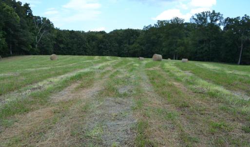 Photo #25 of 82 Rock Creek Rd, Cumberland, VA 51.7 acres