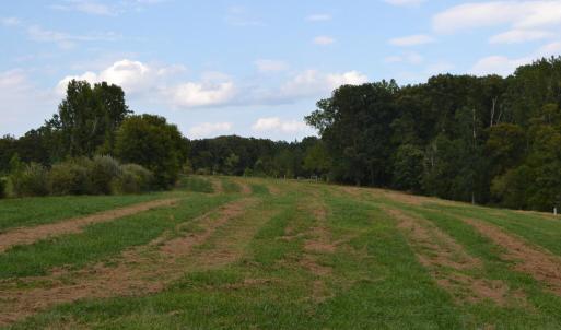 Photo #26 of 82 Rock Creek Rd, Cumberland, VA 51.7 acres