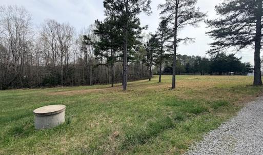 Photo #5 of 427 Muscadine Trail, Baskerville, VA 10.0 acres