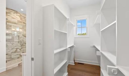 Large Walk-In Owner's Closet