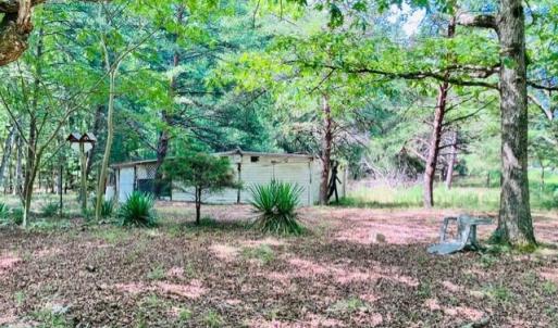 Photo #12 of 3599 Skipwith Rd, Boydton, VA 3.6 acres