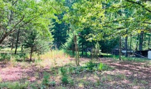 Photo #3 of 3599 Skipwith Rd, Boydton, VA 3.6 acres