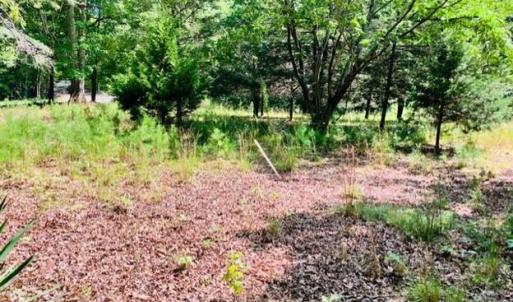 Photo #4 of 3599 Skipwith Rd, Boydton, VA 3.6 acres