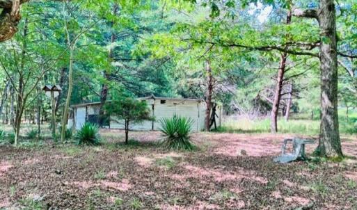 Photo #6 of 3599 Skipwith Rd, Boydton, VA 3.6 acres