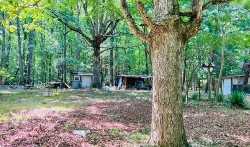 Photo #7 of 3599 Skipwith Rd, Boydton, VA 3.6 acres