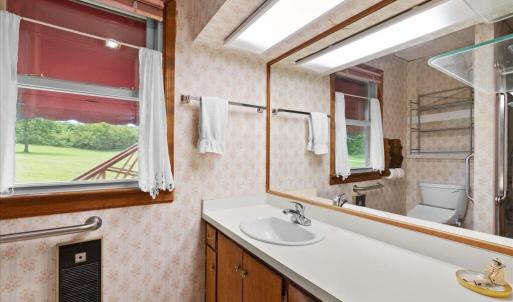 Primary Bath, Full bath with step-in tub, sink and bidet.