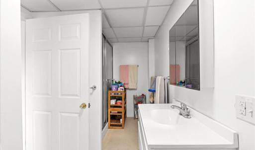 Bathroom 4 - Basement, Full bath with walk-in shower, ensuite Bedroom 5.