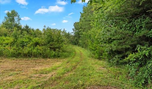 Trails - Explore fields, The house is located on a parcel with 36.65ac.
