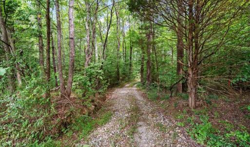 Trails - , This property offers homesteading and endless outdoor recreation adventures.