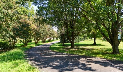 Photo #45 of 2603 Anderson Hwy, Cumberland, VA 12.9 acres