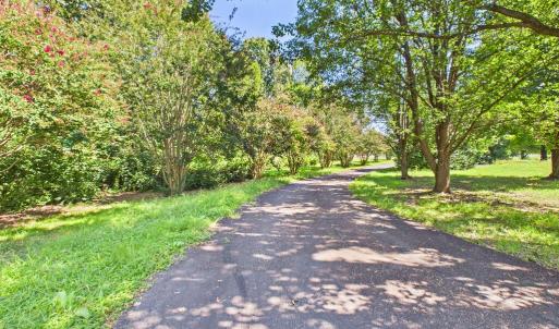 Photo #6 of 2603 Anderson Hwy, Cumberland, VA 12.9 acres