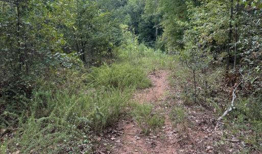 Photo #73 of 4234 Birch Elmo Rd, South Boston, VA 17.3 acres