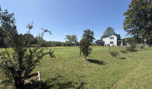 Photo #6 of 4234 Birch Elmo Rd, South Boston, VA 17.3 acres