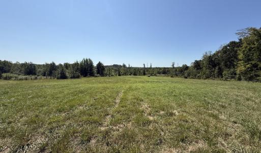 Photo #63 of 4234 Birch Elmo Rd, South Boston, VA 17.3 acres