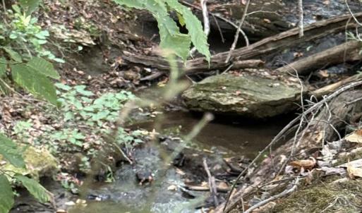 Photo #72 of 4234 Birch Elmo Rd, South Boston, VA 17.3 acres