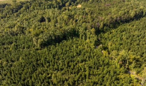 Photo #4 of 22978 E James Anderson Hwy, Cumberland, VA 25.0 acres