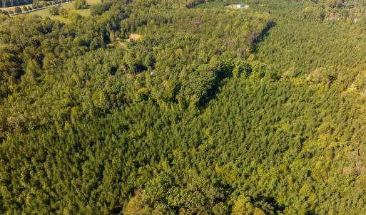 Photo #5 of 22978 E James Anderson Hwy, Cumberland, VA 25.0 acres