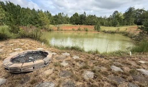 Photo #23 of 1471 New Bethel Road, Meherrin, VA 20.3 acres