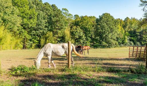 Photo #47 of 8587 Scuffletown Rd, Randolph, VA 12.9 acres