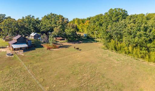 Photo #52 of 8587 Scuffletown Rd, Randolph, VA 12.9 acres