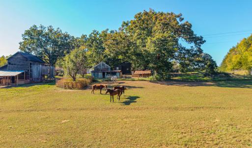 Photo #53 of 8587 Scuffletown Rd, Randolph, VA 12.9 acres