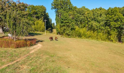 Photo #54 of 8587 Scuffletown Rd, Randolph, VA 12.9 acres