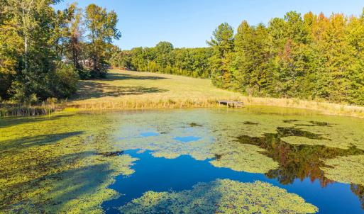 Photo #59 of 8587 Scuffletown Rd, Randolph, VA 12.9 acres