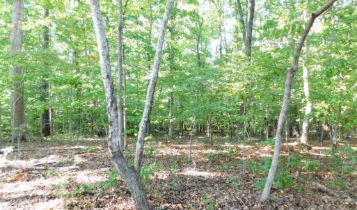 Photo #39 of 201 Deer Run, Farmville, VA 14.8 acres