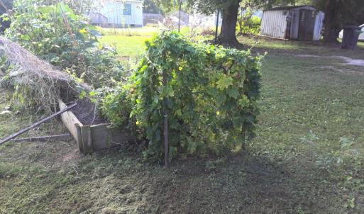 Photo #3 of 108 EPES ST, Blackstone, VA 0.3 acres