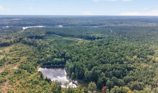 Photo #53 of 405 Washout Rd, Keysville, VA 9.5 acres