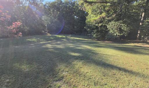 Photo #39 of 1971 Mount Rush Hwy, Dillwyn, VA 2.0 acres