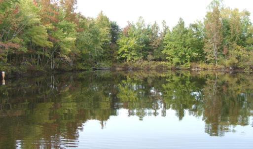 Pond