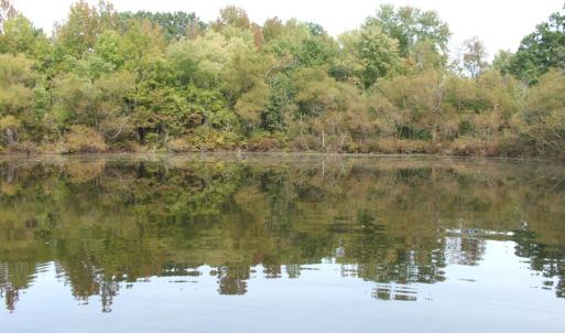 Add'l view of pond