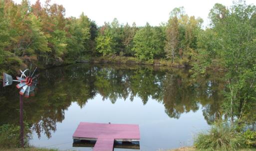 Add'l view of pond w/floating dock