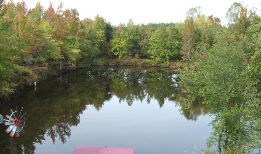 Another view of pond
