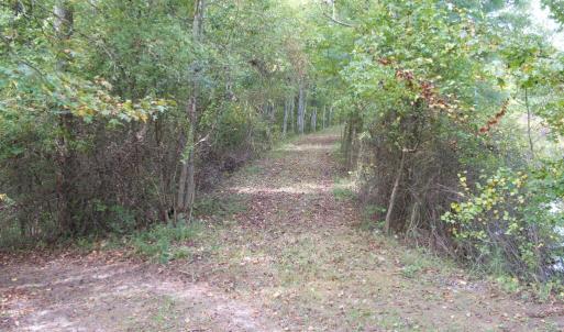 Path across dam