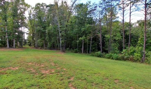 Photo #40 of 9920 Stonewall Rd, Appomattox, VA 1.5 acres