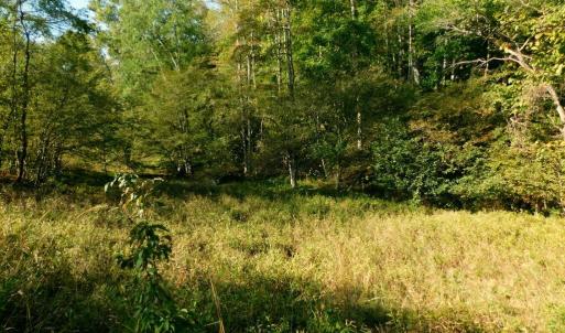 Photo #32 of 2515 Jerico Rd, Buckingham, VA 10.0 acres