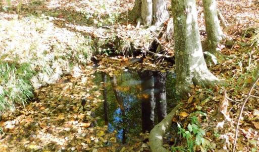 Photo #35 of 2515 Jerico Rd, Buckingham, VA 10.0 acres