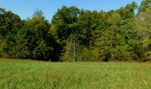 Photo #36 of 2515 Jerico Rd, Buckingham, VA 10.0 acres