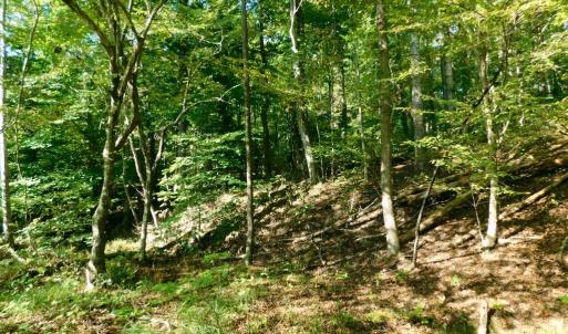 Photo #37 of 2515 Jerico Rd, Buckingham, VA 10.0 acres