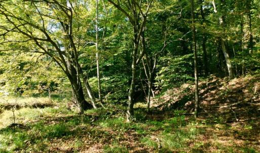 Photo #38 of 2515 Jerico Rd, Buckingham, VA 10.0 acres