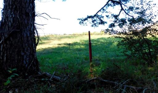 Photo #40 of 2515 Jerico Rd, Buckingham, VA 10.0 acres
