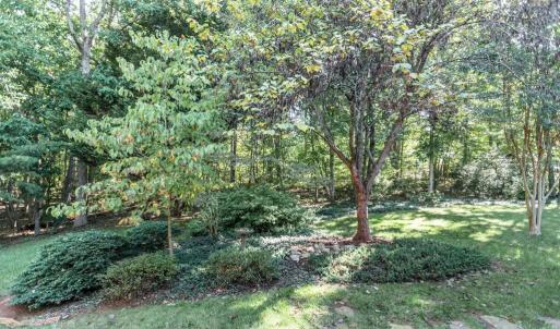 Photo #59 of 158 Hickory Lane, Appomattox, VA 0.8 acres